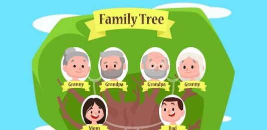 फैमिली ट्री बनाने के 5 बेहतरीन क्राफ्ट आइडियाज फैमिली ट्री कैसे बनाएं