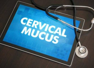क्या सर्वाइकल म्यूकस से गर्भावस्था का पता लगाया जा सकता है? क्या सर्वाइकल म्यूकस से प्रेगनेंसी का पता लगाया जा सकता है