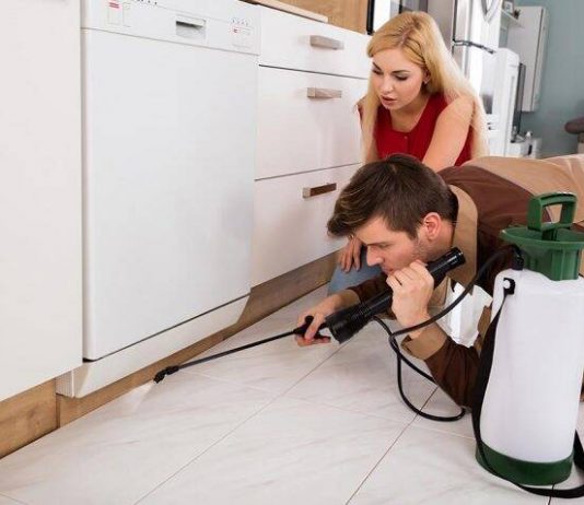 गर्भावस्था के दौरान पेस्ट कंट्रोल (कीट-नियंत्रण) करवाना – क्या यह हानिकारक है? प्रेगनेंसी के दौरान पेस्ट कंट्रोल करवाना