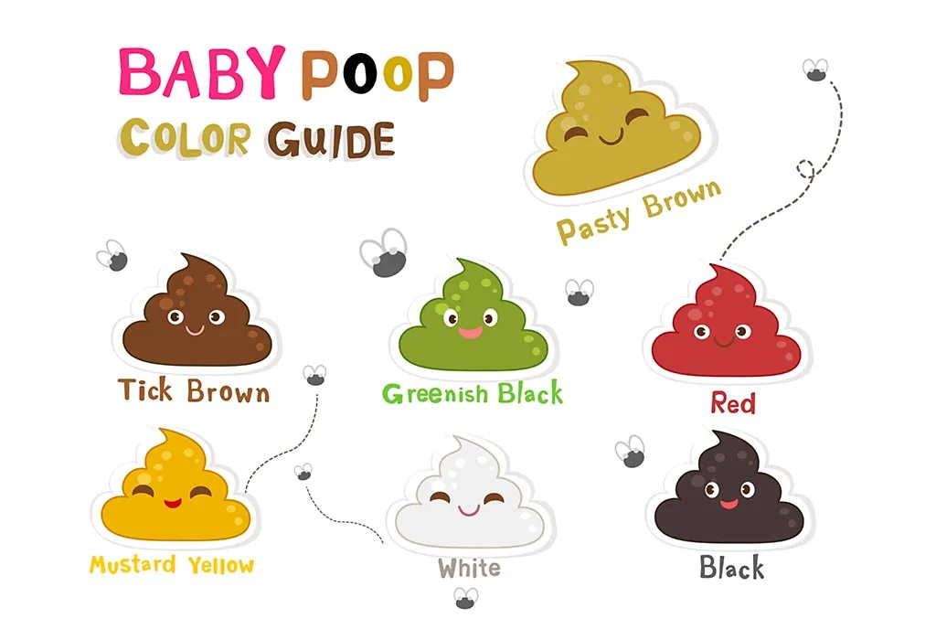 Baby Poop Color Guide