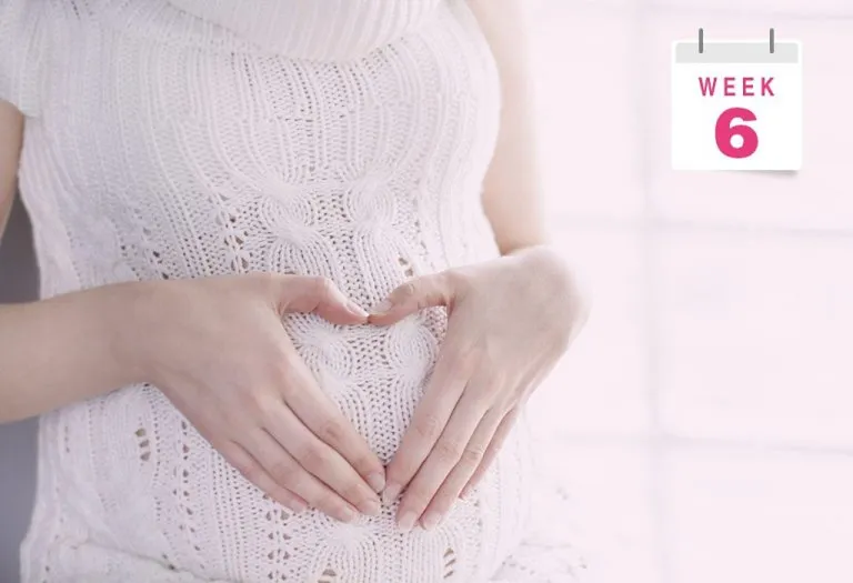 6 Weeks Pregnant: Symptoms, Ultrasound, & Belly Size