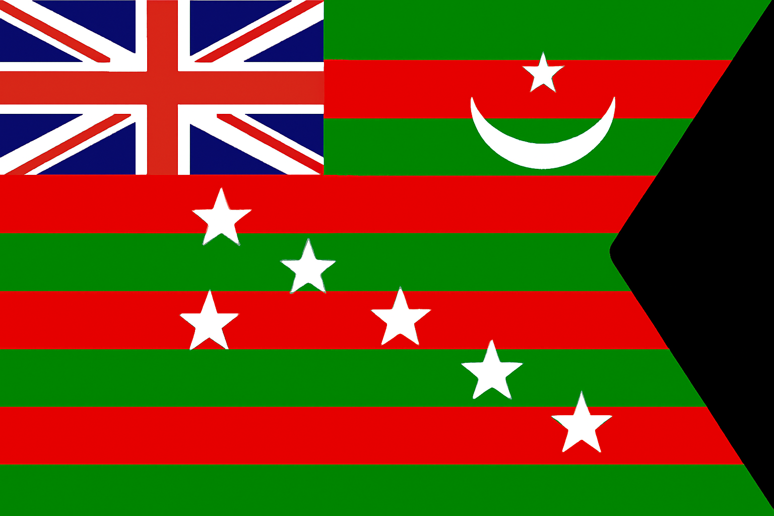Third Indian National Flag