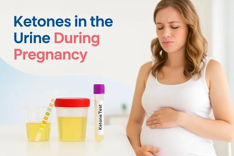 Ketones in the Urine During Pregnancy - Causes,Treatment, and Prevention