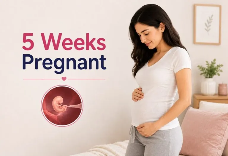 5 Weeks Pregnant - Symptoms, Baby Size and Body Changes