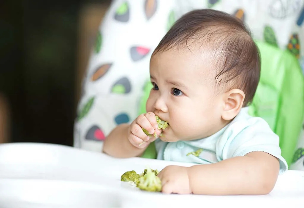 Diet Plan for 7 Month 2 Week Old Baby