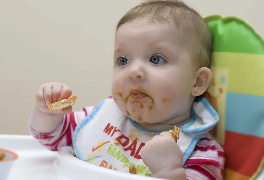 Diet Plan for 9 Month 2 Week Old Baby