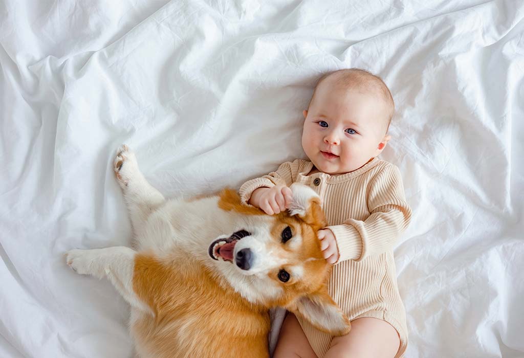 Pet Allergies