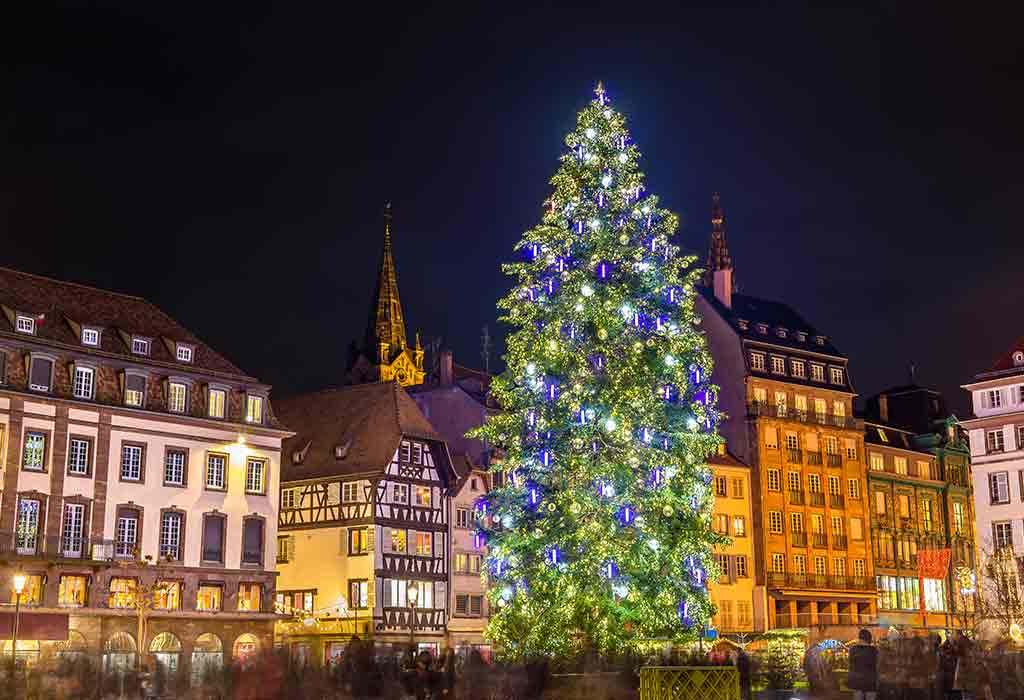 The Tallest Christmas Tree