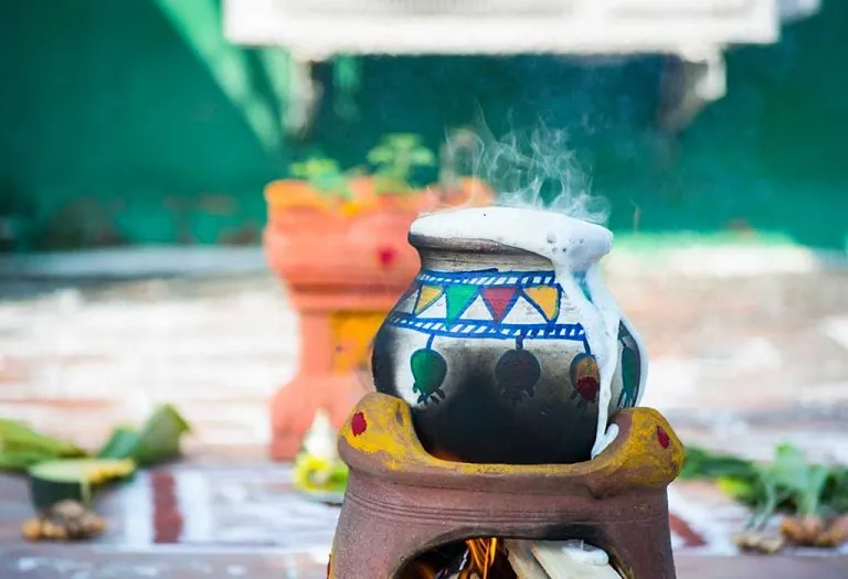10 Traditional Pongal Recipes That You Can Try This Festive Season