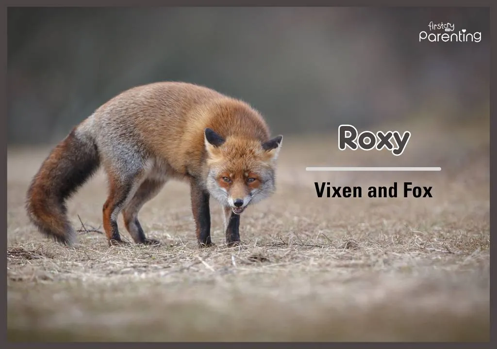 Roxy - Badass Names For Girls & Their Meanings