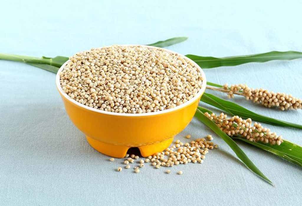 Sorghum or Jowar