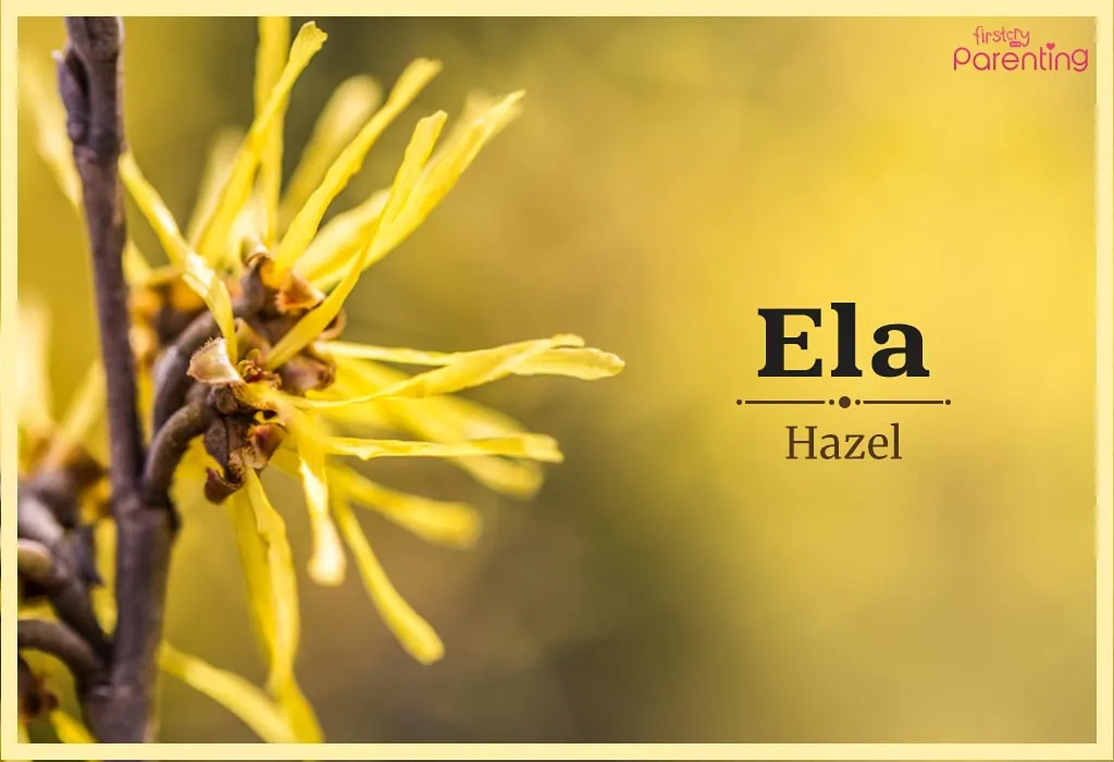 Ela - Turkish Girl Names & Their Meanings
