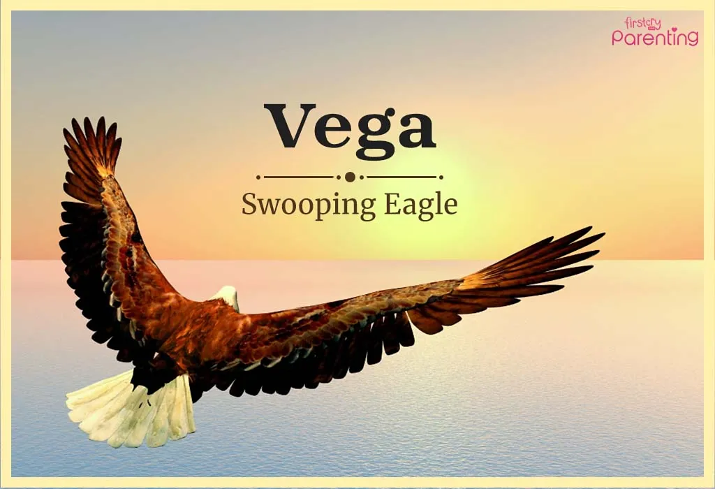 Vega - Turkish Girl Names & Their Meanings