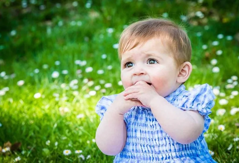95 Tree Names For Boys And Girls