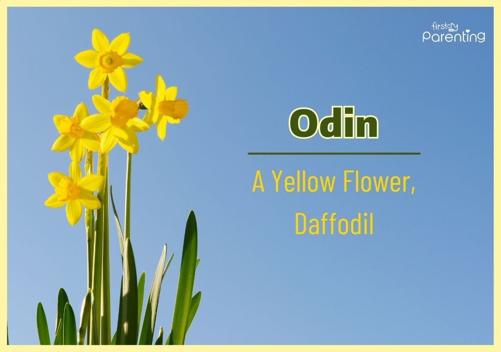 Odin - Scandinavian Boy Names