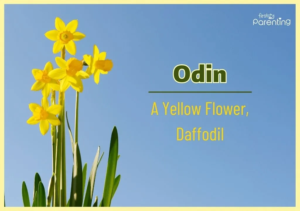 Odin - Scandinavian Boy Names