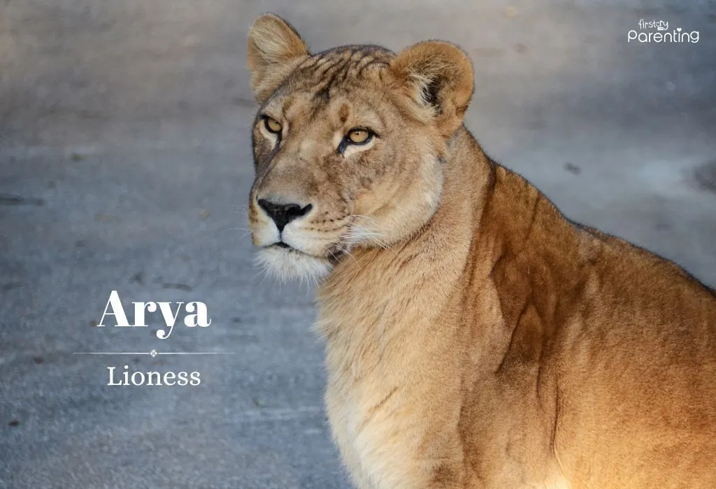 Arya - Strong and Powerful Girl Names with Meanings