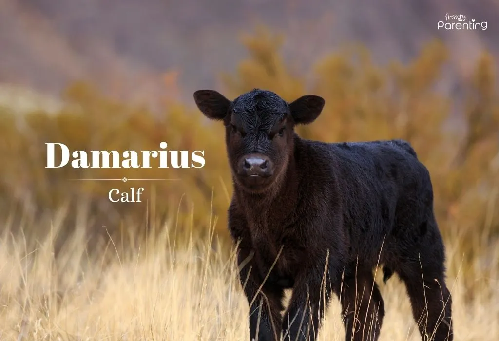 Damarius - Saint Names for Boys and Their Meanings