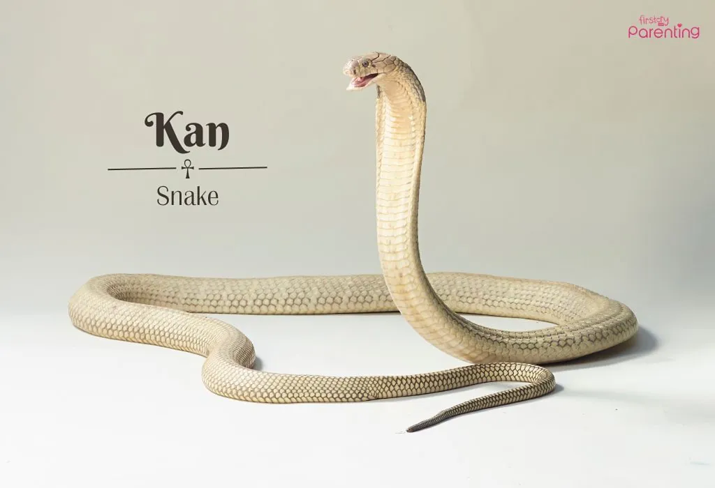 Kan - Mayan Names for Boys
