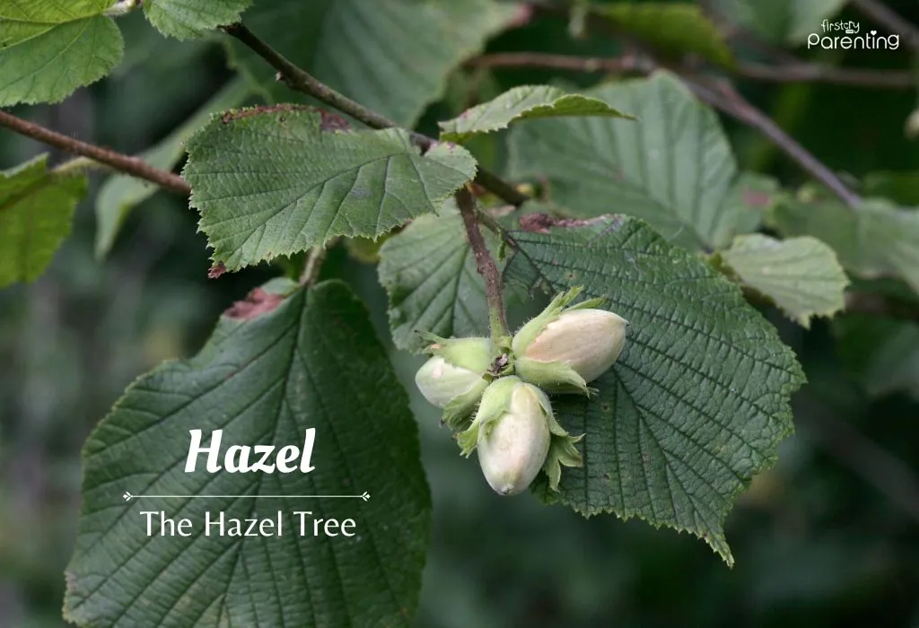 Hazel - Hipster Names for Girls