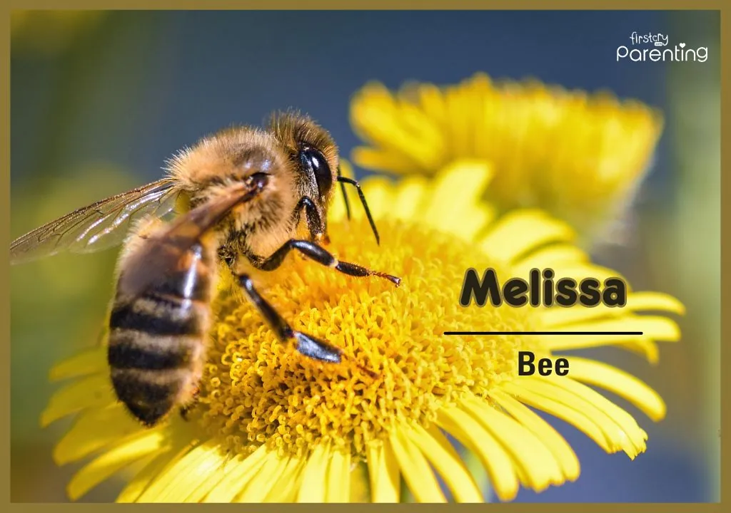 Melissa - Long Names for Girls & Their Meanings
