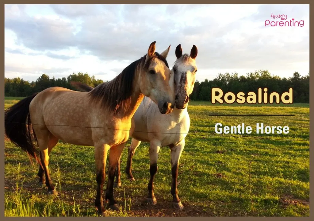 Rosalind - Long Names for Girls & Their Meanings