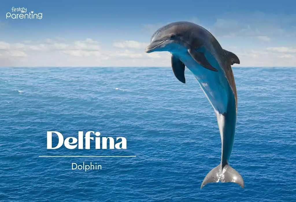 Delfina - Mountain Names for Boys & Girls