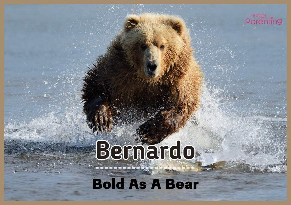 Bernardo - Mexican Boy Names