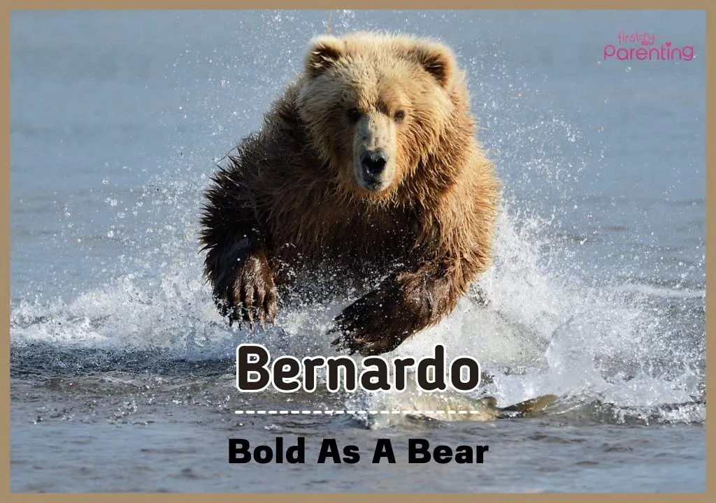 Bernardo - Mexican Boy Names