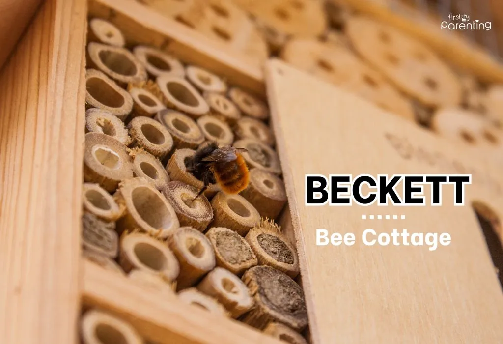 Beckett - Summer Baby Names