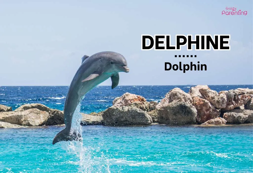 Delphine - Summer Baby Names