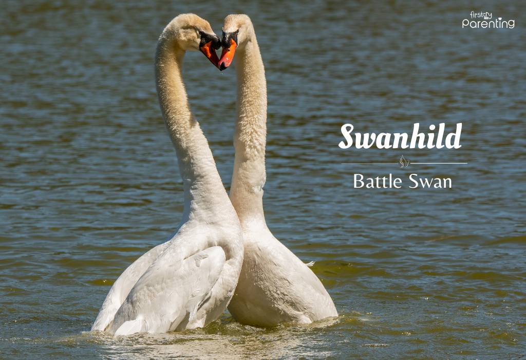 Swanhild - Bird Names for Girls & Their Meanings