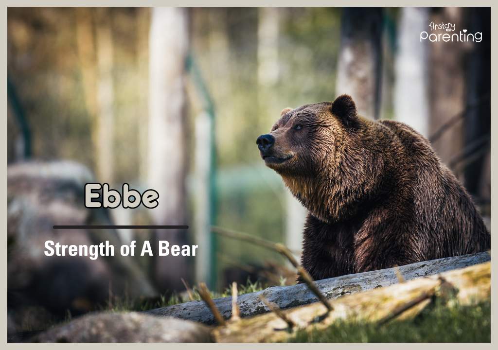 Ebbe - Norwegian Girl Names With Meanings