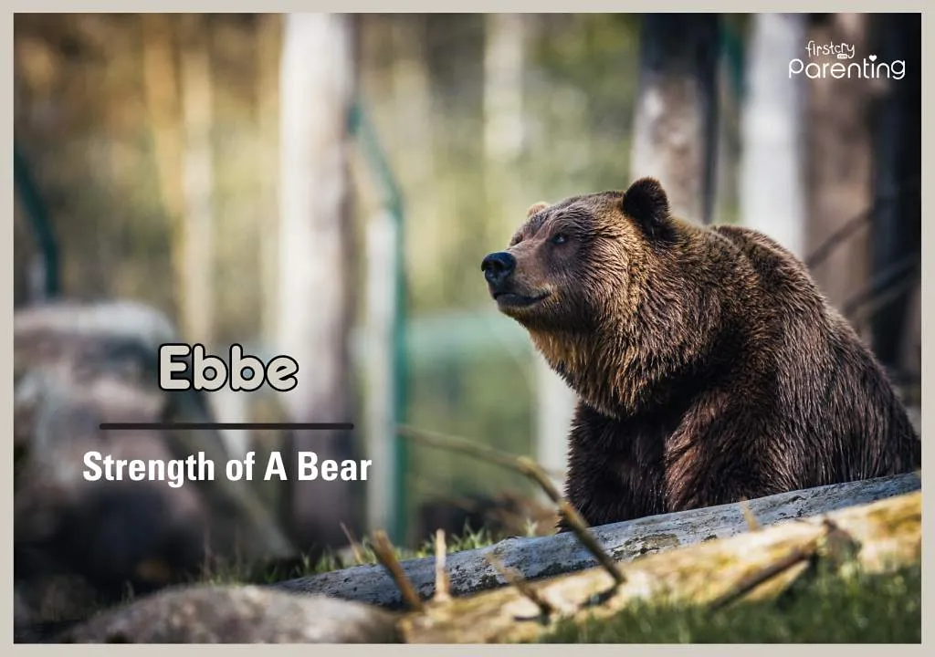 Ebbe - Norwegian Girl Names With Meanings