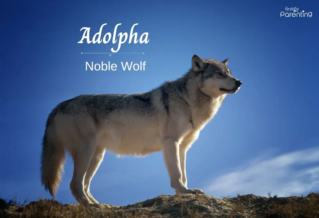 Adolpha - Animal Themed Names for Boys and Girls