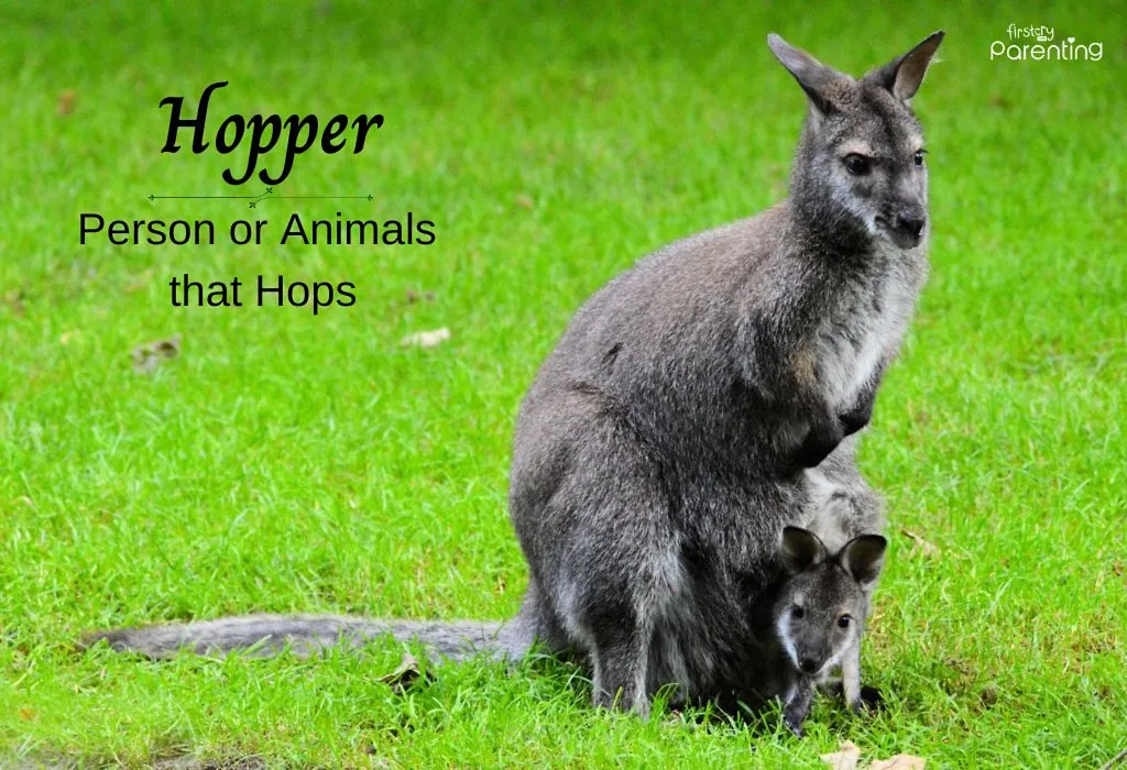 Hopper - Animal Themed Names for Boys and Girls