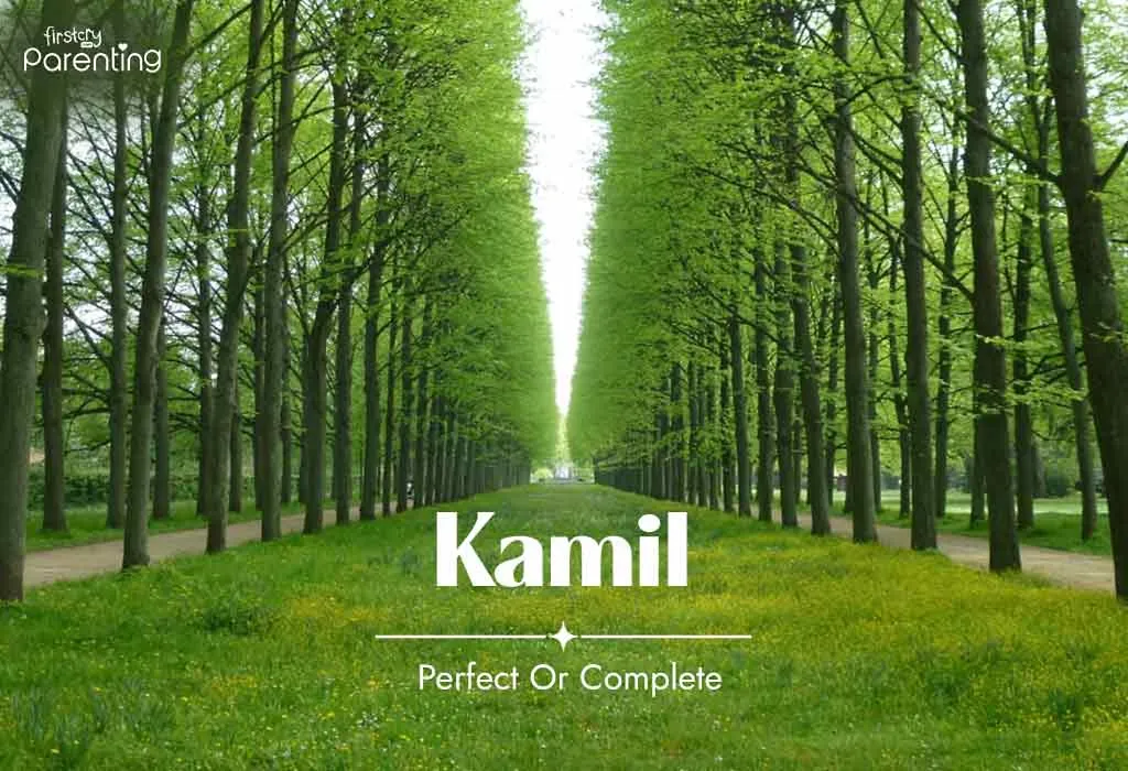 Kamil - Polish Boy Names with Meanings