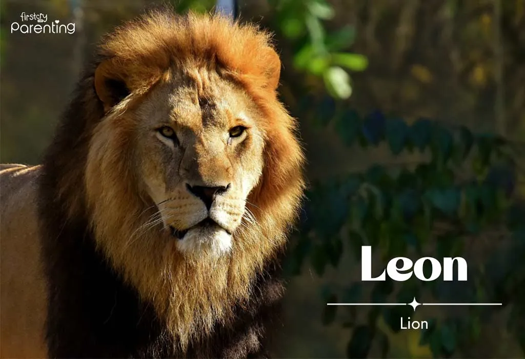 Leon - Polish Boy Names with Meanings