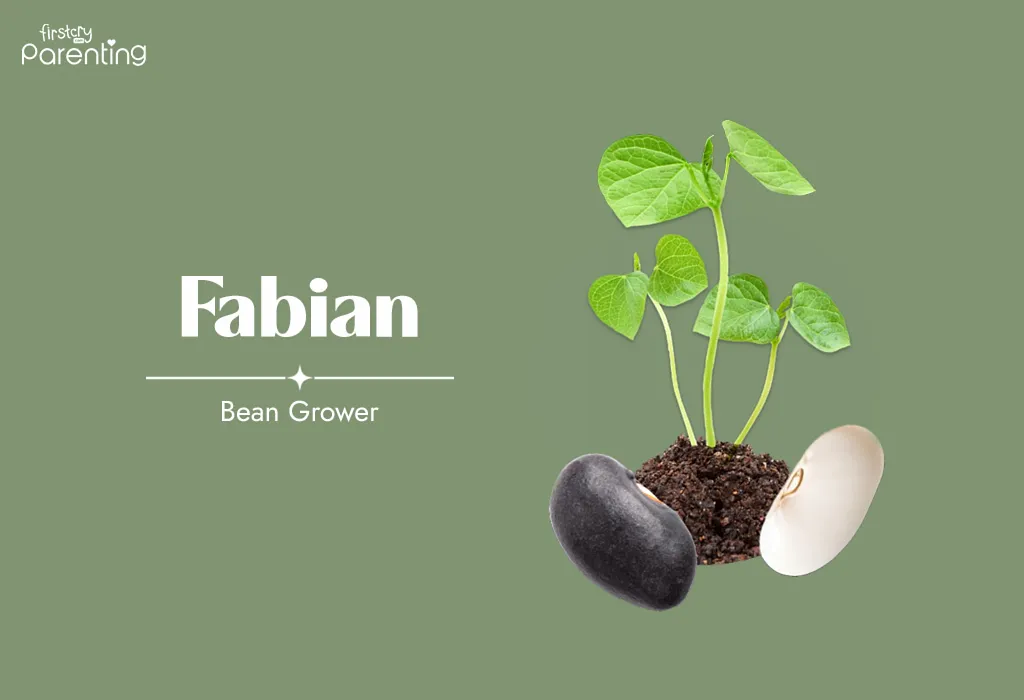 Fabian - Polish Boy Names with Meanings