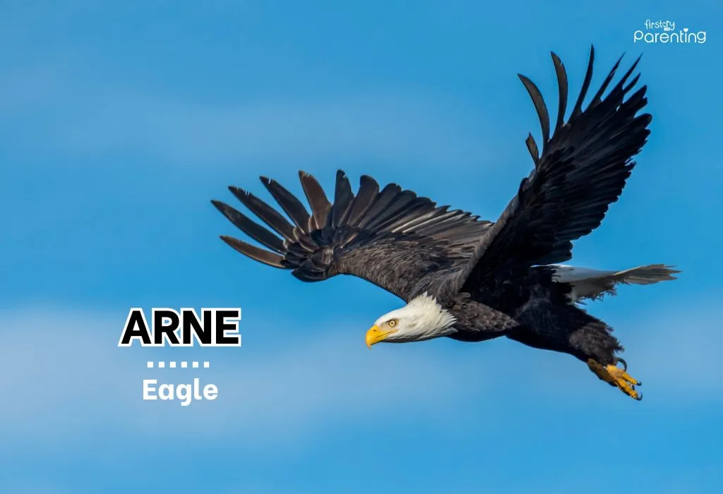 Arne - Norwegian Boy Names