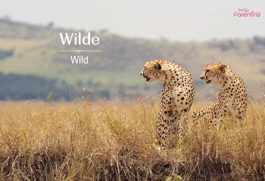 Wilde - Disney Boy Names