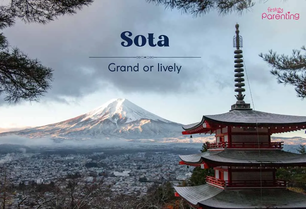 Sota - Japanese Boy Names & Their Meanings