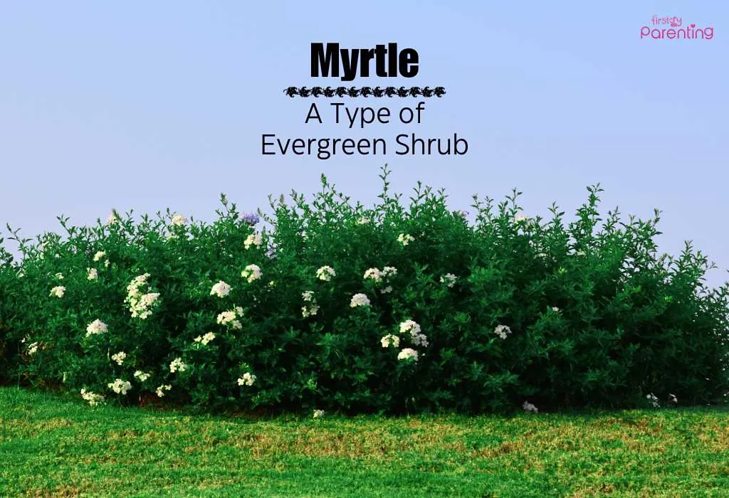 Myrtle - Victorian Baby Names for Girls and Boys