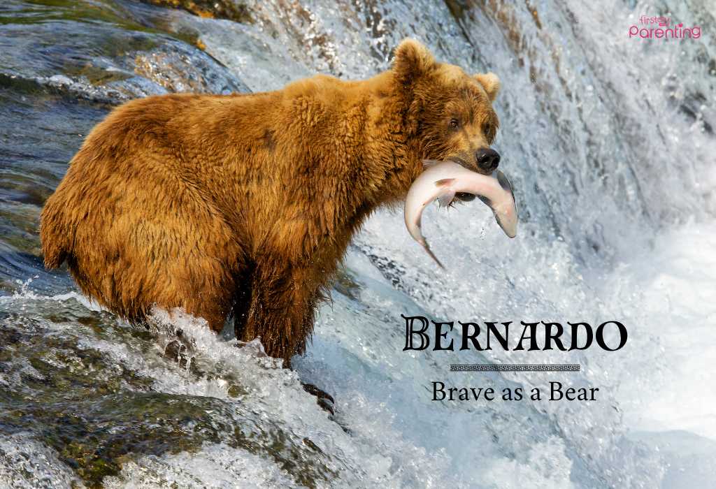 Bernardo - Roman Names for Baby Boys