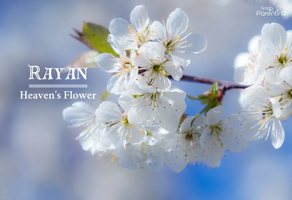 Rayan - Roman Names for Baby Boys