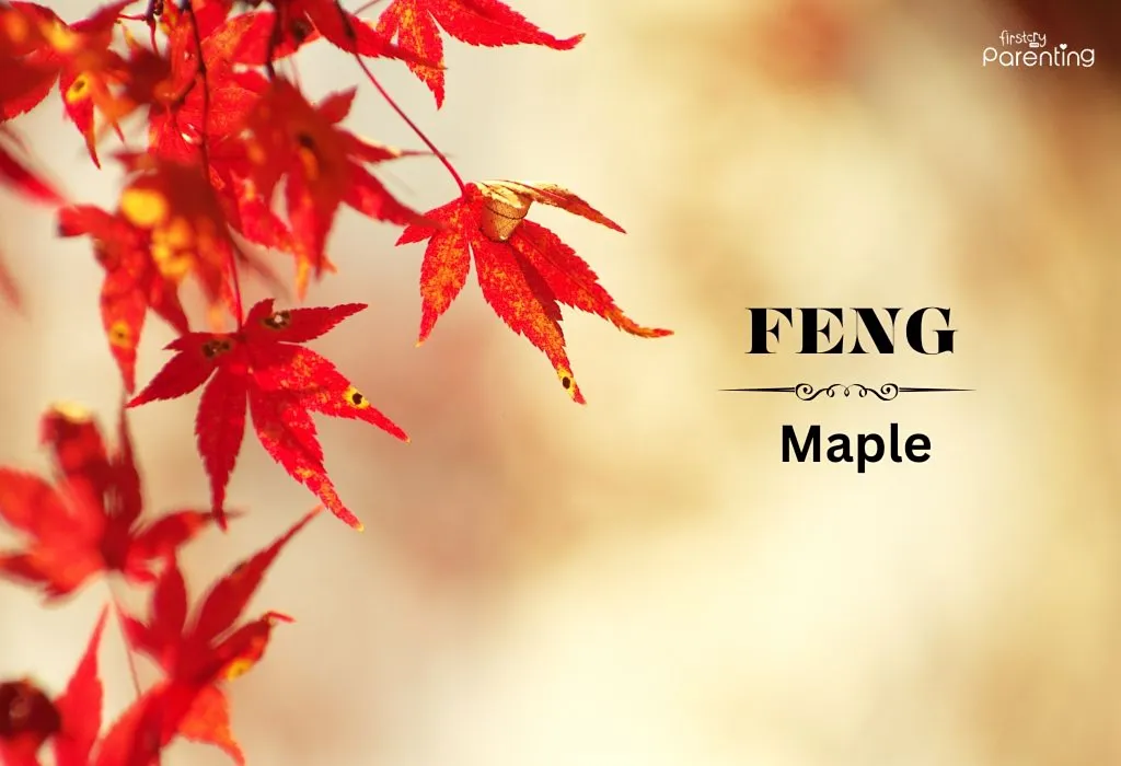 Feng - Cool Asian Boy Names For Your Little One Feng - Cool Asian Boy Names For Your Little One