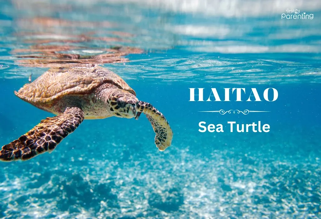 Haitao - Cool Asian Boy Names For Your Little One Haitao - Cool Asian Boy Names For Your Little One