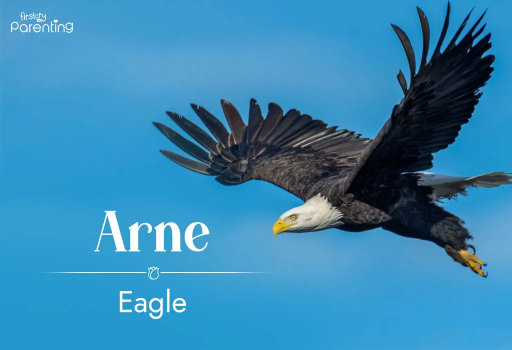 Arne - Norwegian Boy Names