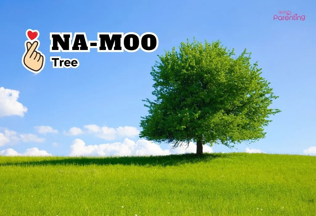 Na-Moo - Korean Girl Names