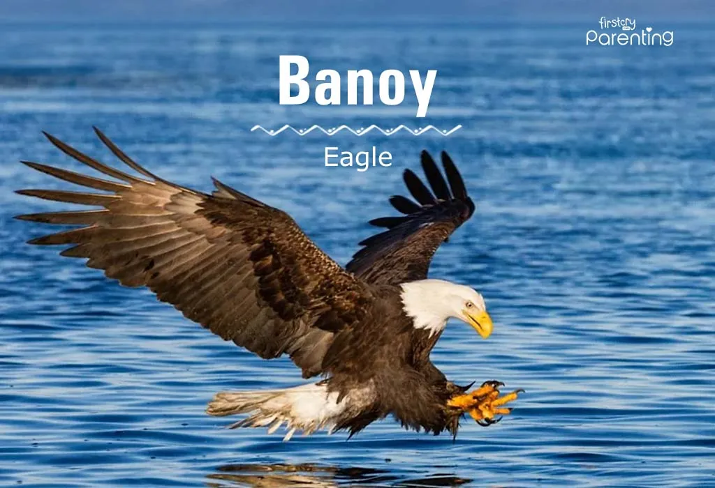 Banoy - Filipino Boy Names & Their Meanings